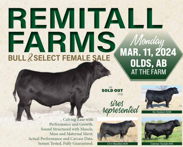 Remitall Farms Spring Bull Sale March 13, 2023 | Richard and Gary Latimer |  Purebred Angus cattle | Trusted Name, Trusted Genetics