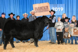 Low birth weight, son of SAV Renown 3439 has added muscle shape, rear quarter, volume and mass. Performance, growth, dimension, and cow family strength.